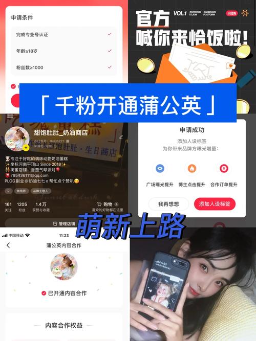 dydy粉絲自助業(yè)務(wù)-dy怎么上1000粉