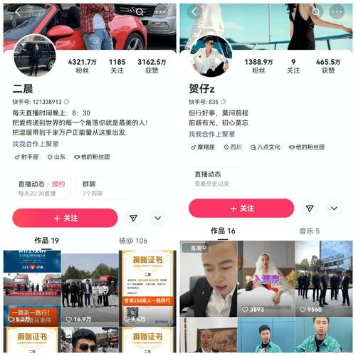 快手點(diǎn)贊業(yè)務(wù)24小時(shí)-全天候助力賬號曝光與流量增長秘籍