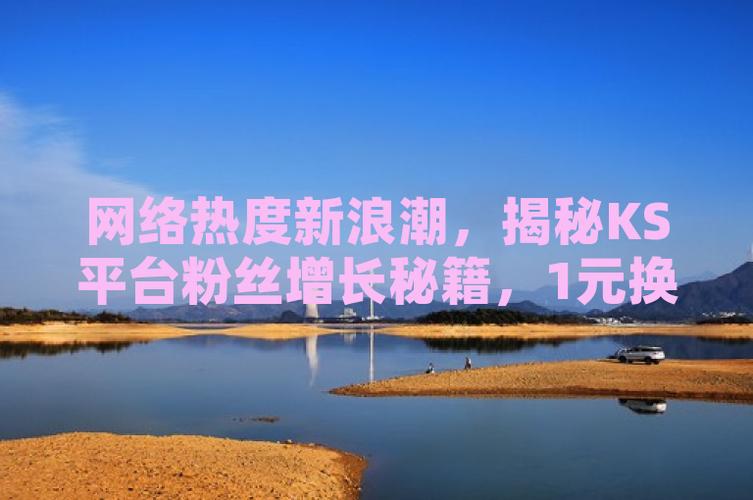 ks增粉1元100粉-揭秘低價漲粉背后的真相與風險