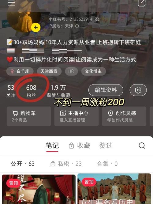 ks粉絲平臺自助下單-輕松搞定漲粉難題,手把手教你玩轉流量密碼