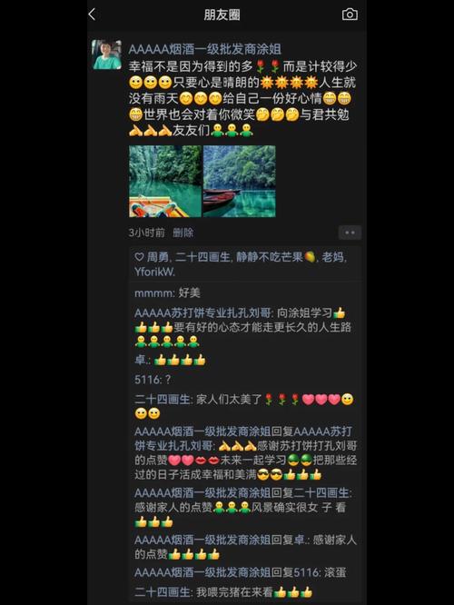 ks粉絲1元100贊-揭秘低價(jià)點(diǎn)贊背后的真相與風(fēng)險(xiǎn)