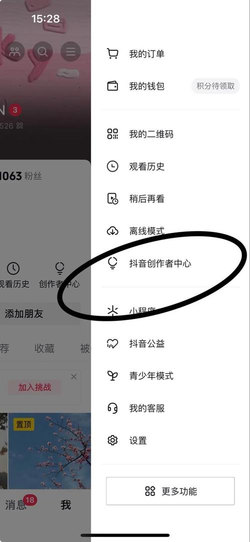 抖音下單平臺解析，漲粉一千成本及報(bào)價(jià)詳情