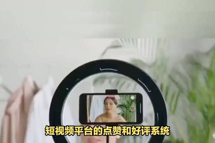 ks點(diǎn)贊業(yè)務(wù)自助下單平臺(tái)-快速提升短視頻人氣的秘密武器-24小時(shí)自助粉絲-24小時(shí)自助粉絲