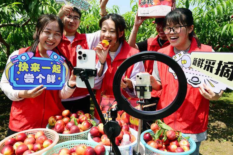 KS點贊業務24小時在線平臺，全天候賦能短視頻流量增長秘籍，KS24自助10粉絲便捷下單通道