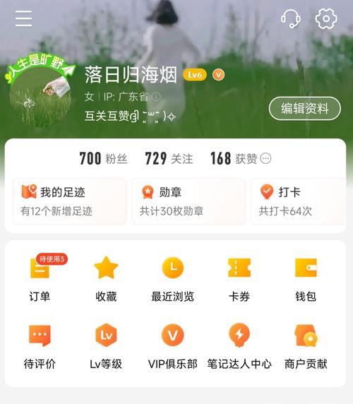 ks一元1000粉自助下單平臺-快手點贊粉絲下單平臺便宜-快手點贊粉絲下單平臺便宜