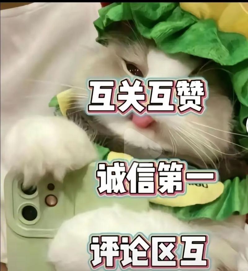 抖音快速增加贊-抖音加粉-抖音加粉