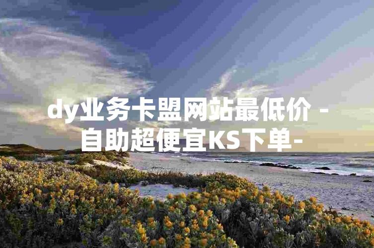 dy粉絲自助業務下單平臺超低價-dy粉絲業務下單低價-dy粉絲業務下單低價