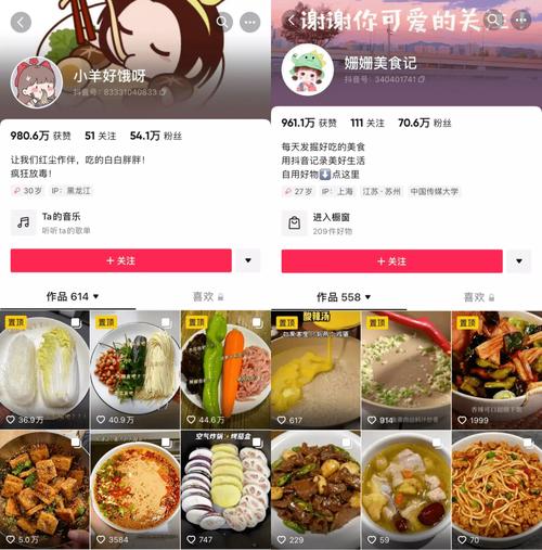 抖音點贊業務24小時在線自助平臺100贊-抖音加粉平臺-抖音加粉平臺
