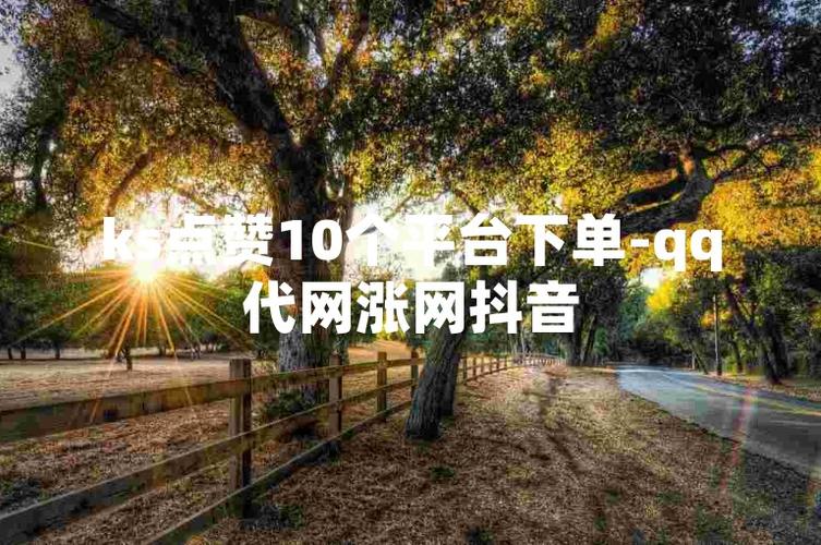 ks業(yè)務(wù)網(wǎng)站平臺-點贊購買平臺