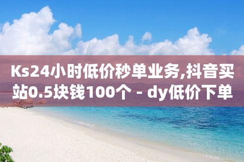 ks業(yè)務(wù)網(wǎng)站平臺-點贊購買平臺