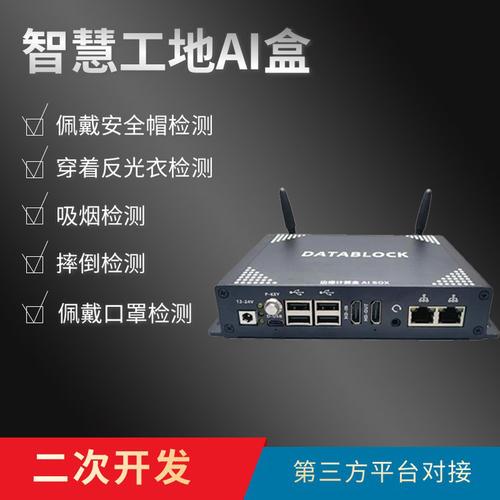 AI模型智能安防-標準接口-標準接口