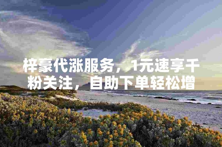ks熱門業(yè)務(wù)平臺(tái)-ks點(diǎn)贊1元1000粉