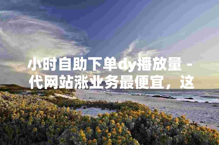 dy低價點贊自助下單-抖音粉絲網站自助平臺