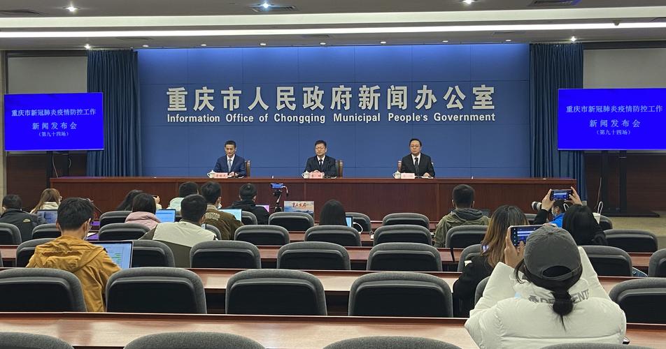 重慶新冠病毒肺炎疫情-開發框架-開發框架