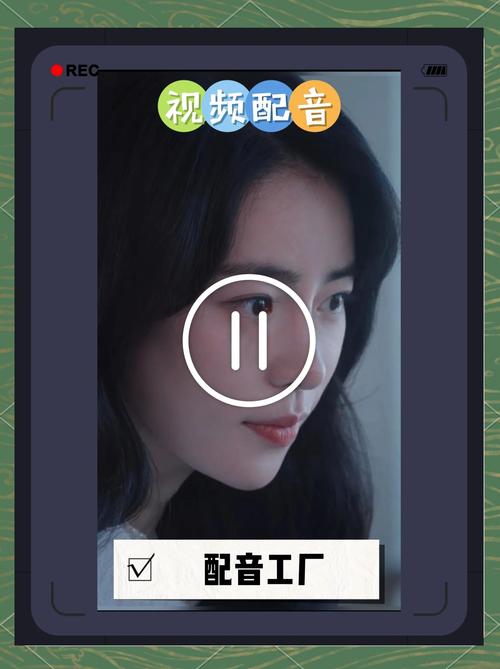制作短視頻語音轉文字-應用說明-應用說明