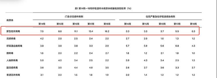 新冠疫情3000字論文-效率分析-效率分析