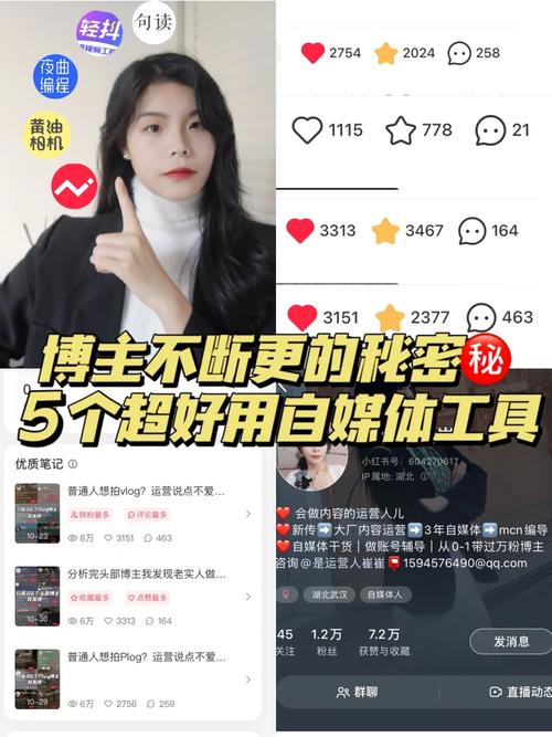 ks點贊一元一條-ks1元1w粉的軟件