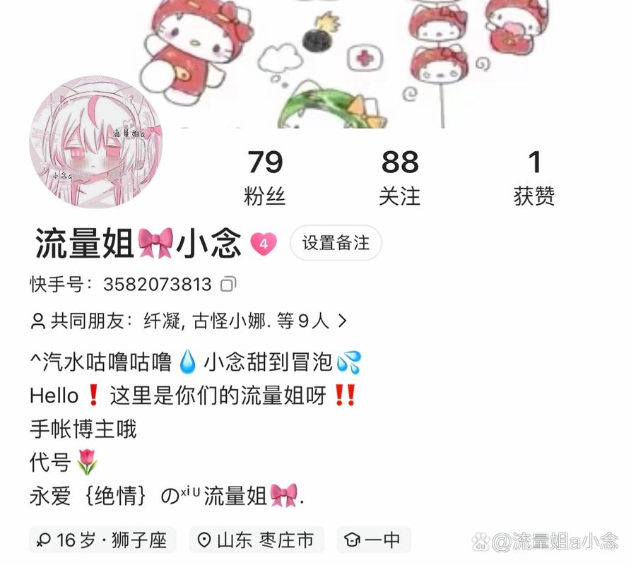 ks每日免費領贊平臺-什么是ks粉絲