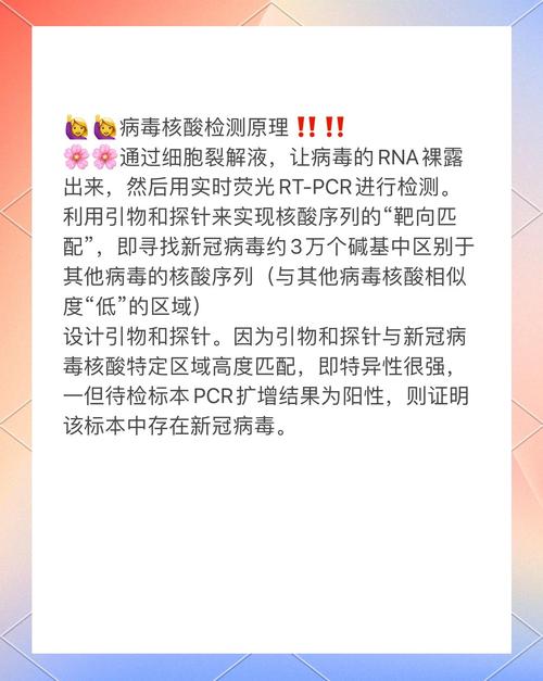 漢川城隍新冠疫情視頻-工作原理-工作原理