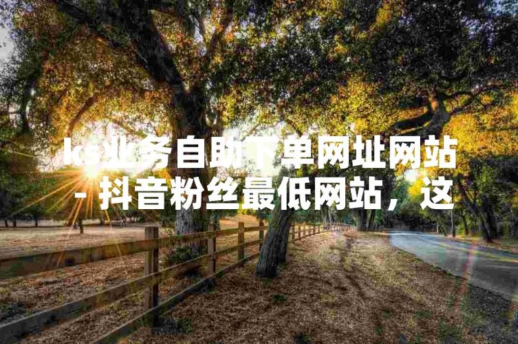快手直播粉絲-ks粉絲購買網站