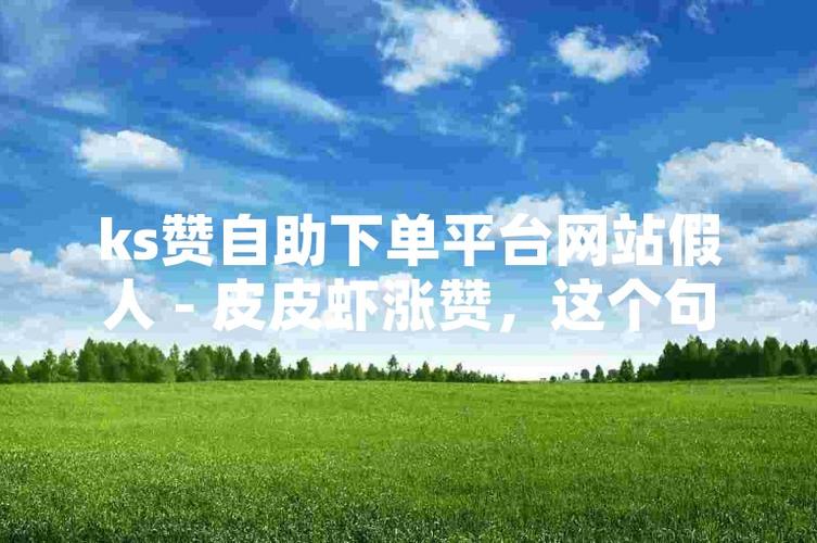 ks點贊業務-快手粉絲自助