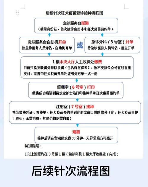 新冠疫情中生命價值原則-體驗優化-體驗優化