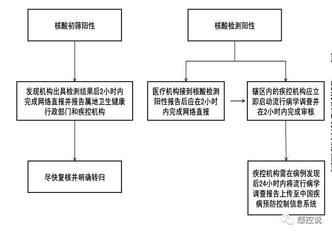 中國美國新冠疫情報道-標準流程-標準流程