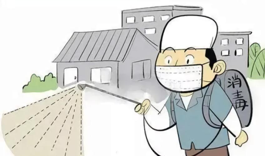 新冠疫情防護動畫制作效率究竟如何分析？