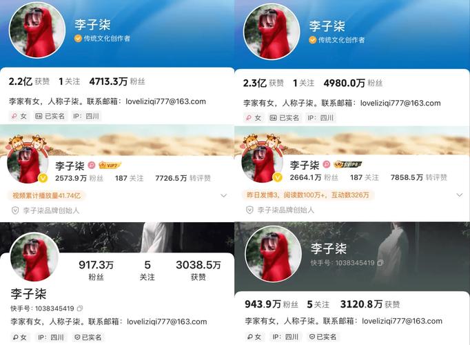 24小時(shí)快手粉絲在線自助平臺(tái)-快手漲粉粉絲