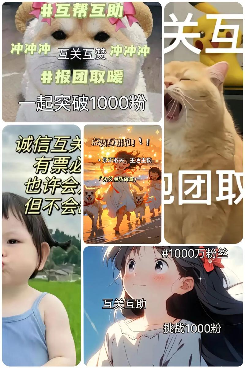 免費漲1000點贊-抖音點贊粉絲