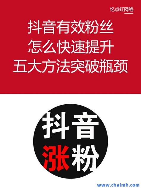 抖音1元1000粉-抖音粉絲業(yè)務(wù)網(wǎng)站