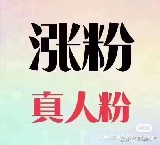 快手免費漲粉-3元一萬粉快手網站