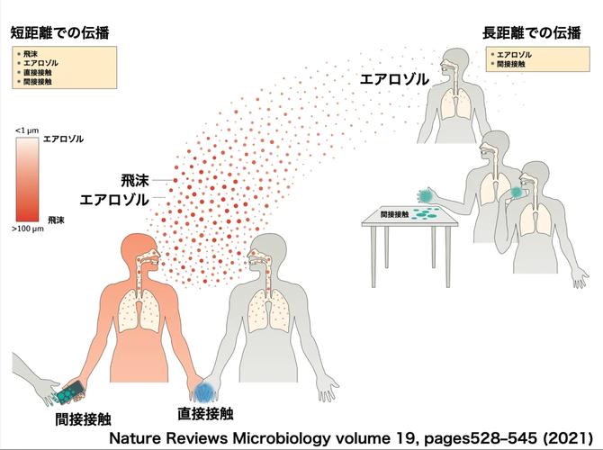 最新大阪新冠疫情消息有哪些應用說明？
